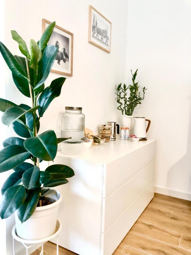 Stanza E Bagno Privato, Idromassaggio Con Extra Fee, In Appartamento Ferrara Bagian luar foto
